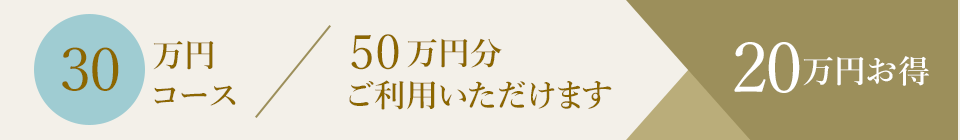 30万円コース／50万円分ご利用いただけます。20万円お得