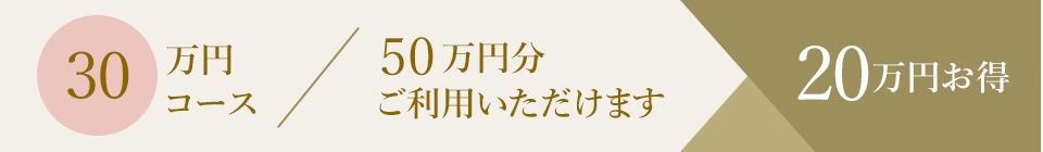 30万円コース／50万円分ご利用いただけます。20万円お得